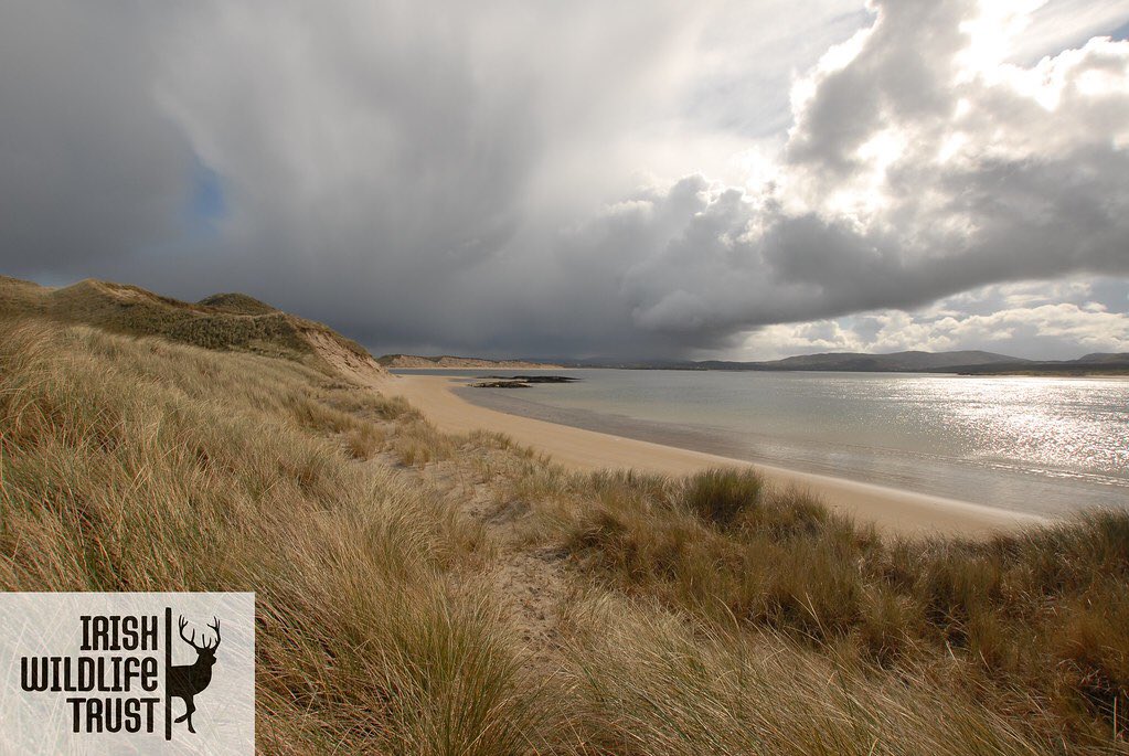 Sheskinmore Nature Reserve is a sand dune complex of national importance for its bird life. Visitors include Greenland White Fronted geese, Choughs, Mute Swans, skylarks, pipits & Reed Buntings. The location is beautiful.