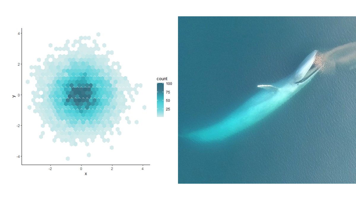 A half-joking conversation during pre-research cruise quarantine somehow led to a new R package over the course of an evening: musculusColors, whale-themed color palettes for data visualization. @clarabirdferrer have we peaked or have we truly lost it?🤣 github.com/dawnbarlow/mus…