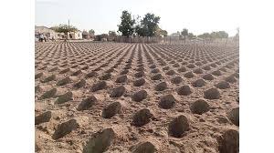 Holes for food SECURITY and WEALTH
This new LOOK KUMUSHA is the way to go, so how about making it a PERMANENT  feature going into the future.
“Pfumvudza, there is clearly no substitute!!”
#pfumvudza
#foodsecurity