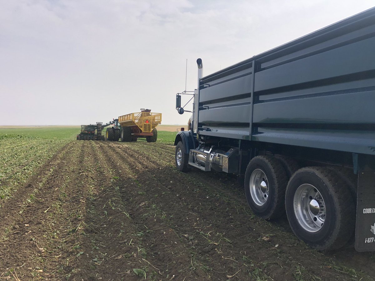 Aaaaannndddd it beetgins!!!!