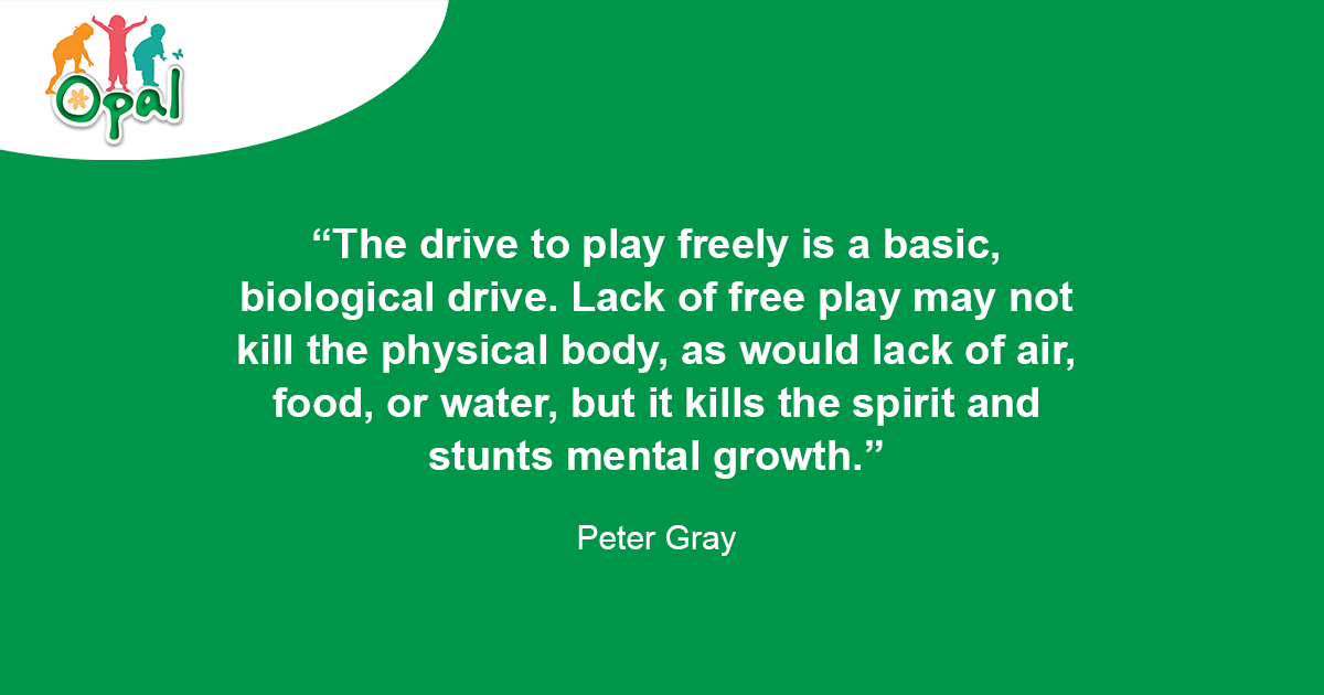 "The drive to play freely is a basic, biological drive. Lack of free play may not kill the physical body, as would lack of air, food, or water, but it kills the spirit and stunts mental growth."

~ Peter Gray

#opalschools #playmatters #mondaymotivation