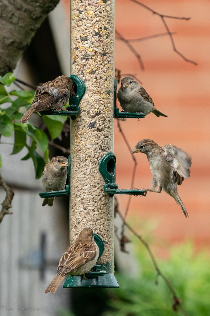 Tim Preston tweet media