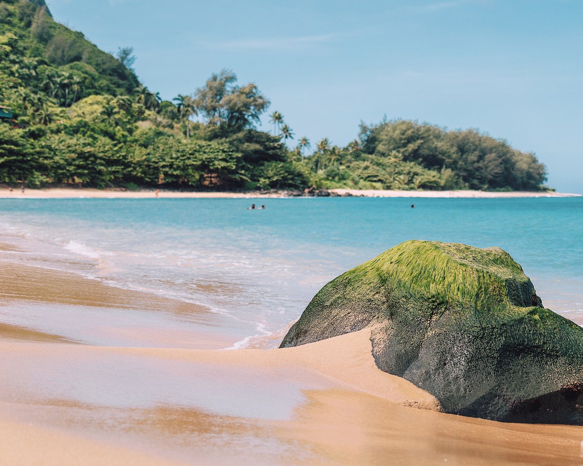 A little Kaua'i Beauty to brighten your day!

Tunnels beach on the North Shore of Kaua'i
