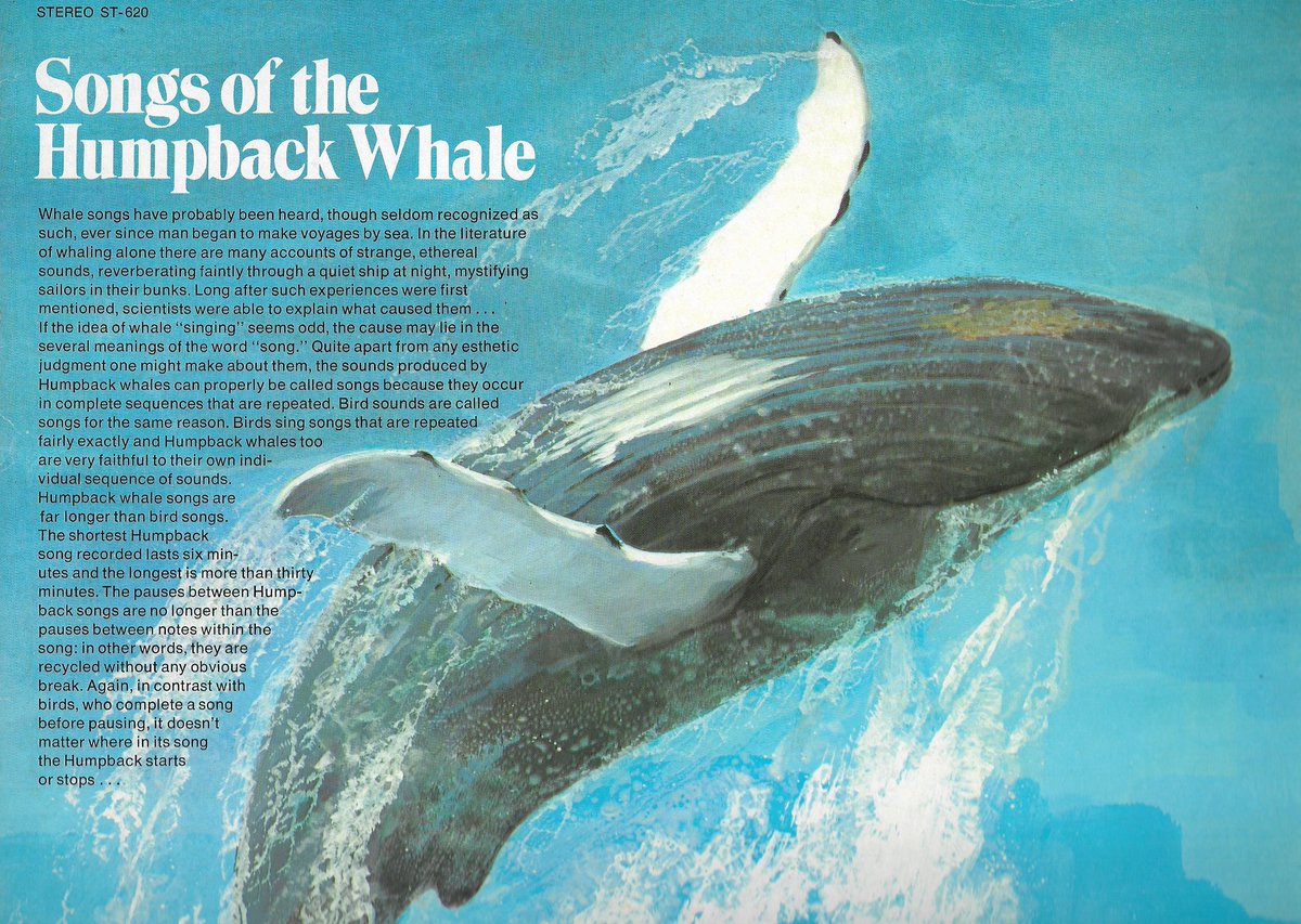 Hannah Dean tweet media