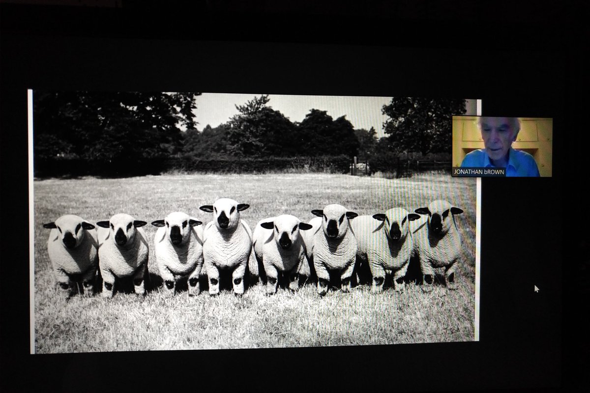 The trailblazing <a href="/AnimalHistories/">ANIMAL HISTORY GROUP</a> online seminar series kicks off with Jonathan Brown's insightful dissection of 1930s downland sheep farming photos, courtesy of <a href="/TheMERL/">The Museum of English Rural Life</a>