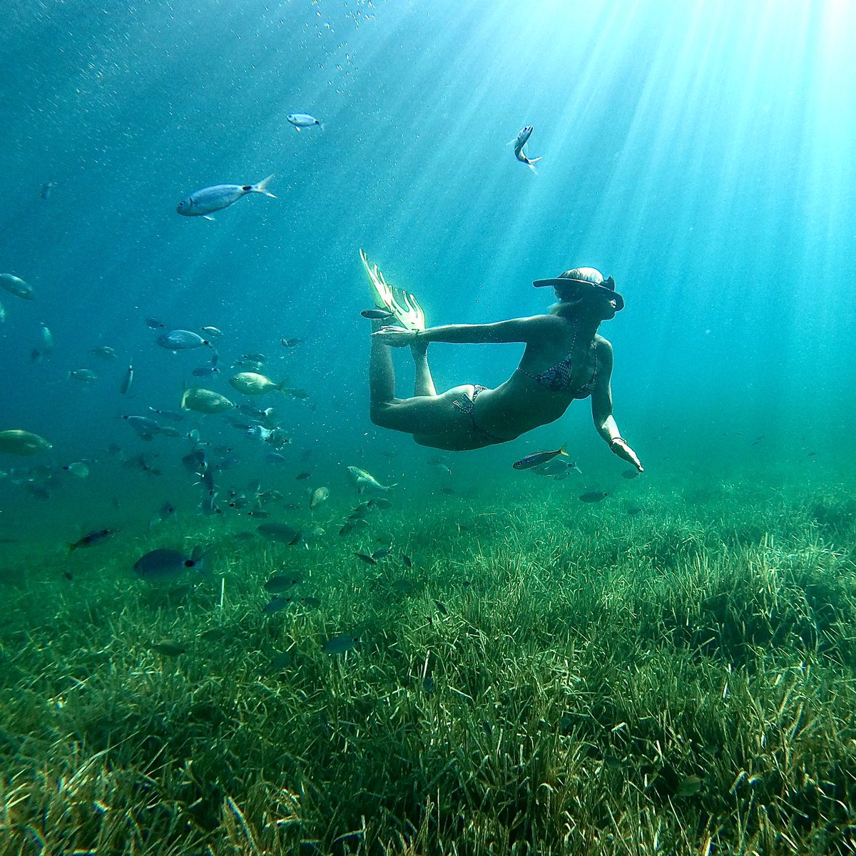 Underwater wildlife 🐟🐟🐟 #palmademallorca #snorkeling #rideforthefuture #pictureorganicclothing♻️ #surferlife #travellife #saillife⛵️