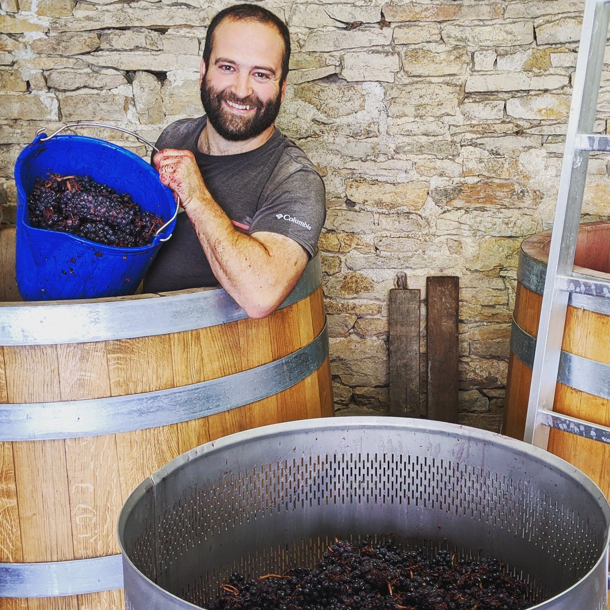 MaisonHarbour's tweet photo. Nicholas with a big smile digging out our new whole cluster cuvée. Savigny-les-Beaune 1er Cru 'Aux Vergelesses'. https://t.co/LJx8SpuhDM