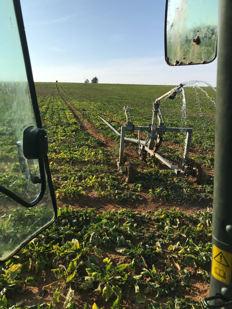 CINTRAT Romain tweet media