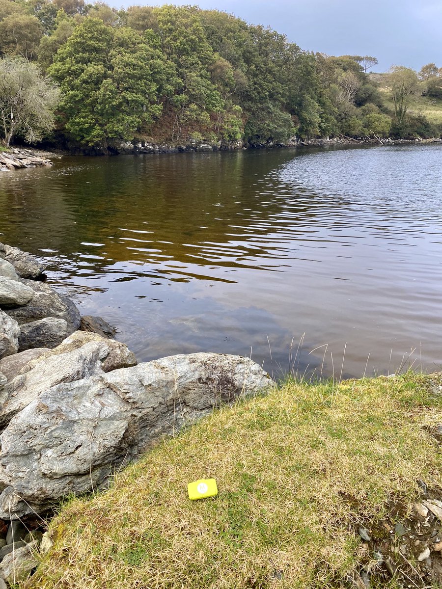donegal33's tweet photo. Pre Step Stretches @hsesteps @HSELive @HsehealthW @HealthyDonegal @HealthyIreland #LoveDonegal #TeamKCH #Day3 https://t.co/iVT3Gkswlm