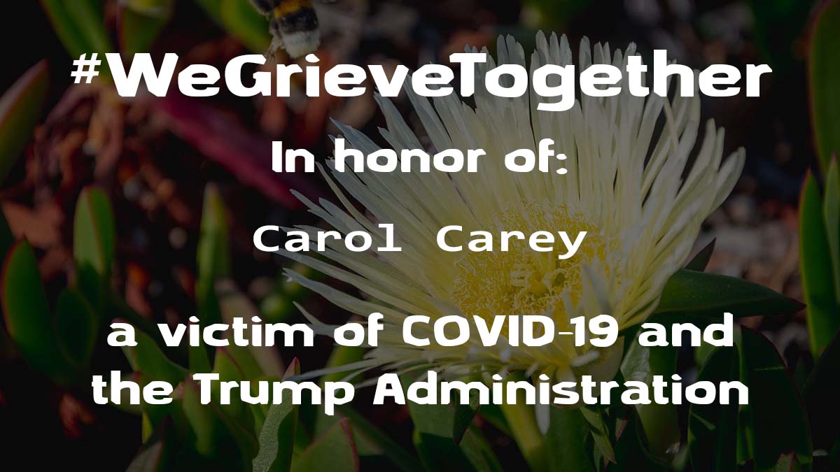 Trump lied and 200K died.

Find 1000 graphics like this one here: bit.ly/32C7Ozr

Please share them with the hashtags #WeGrieveTogether and #200KGone