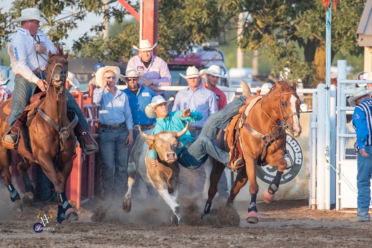 Falling into Monday like… 😲 🐴 🐂