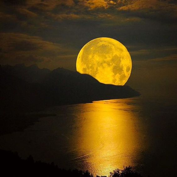 KatanaHugo's tweet photo. Goodnight my friends
#photos #photography #night #moonlight https://t.co/MrsAD0O1N3