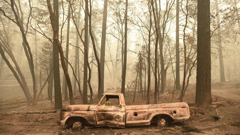 Hot enough to melt the aluminum off this truck, but those trees hardly broke a sweat.