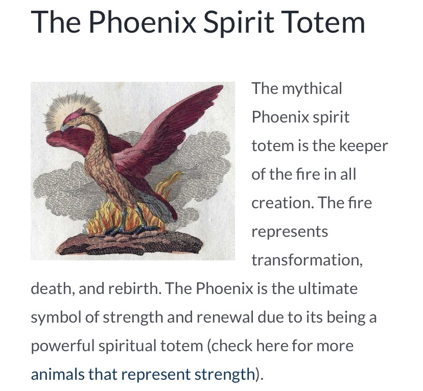 and like the phoenix, the applicants were also once lost but their passion and dreams lead them to where they are right now. they became a different person now, stronger and braver.