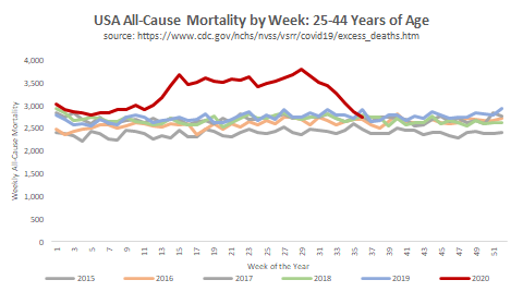 For young adults, something odd is happening. Excess mortality rose in the Spring and remained elevated for six months before declining at the end of Summer.