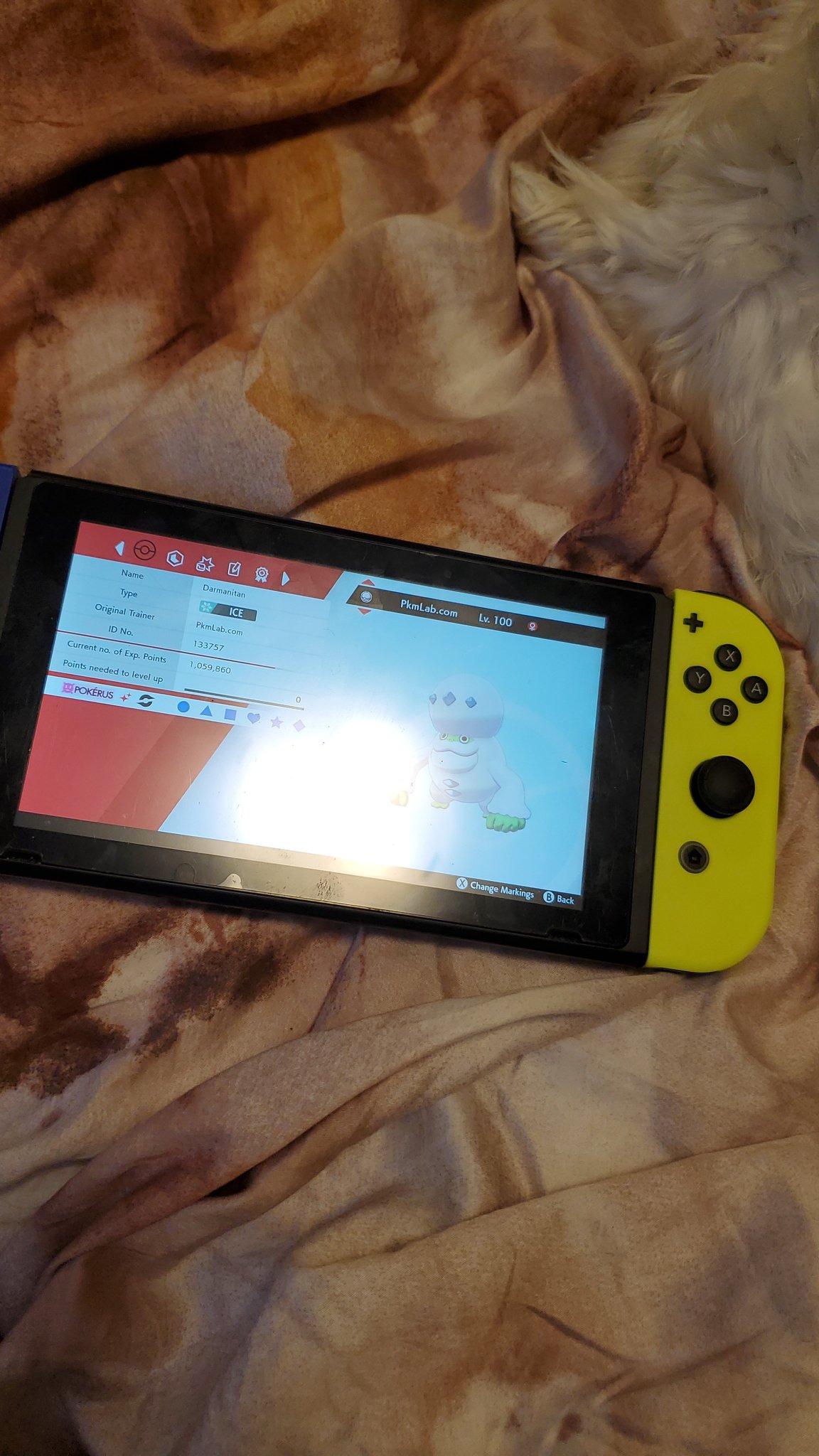 Silvershadowwolf Can You Guys Stop Prompting Your Website In A Bloody Kid S Game And Get A Life Banned Nicknames Like This Nintendoamerica Pokemon Pokemonswordandshield T Co Qggrszbqiy