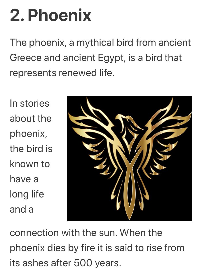 and for the phoenix part, it is said below that phoenix is a bird that is known to have a long life and a connection with the SUN. It also represents RENEWED LIFE.