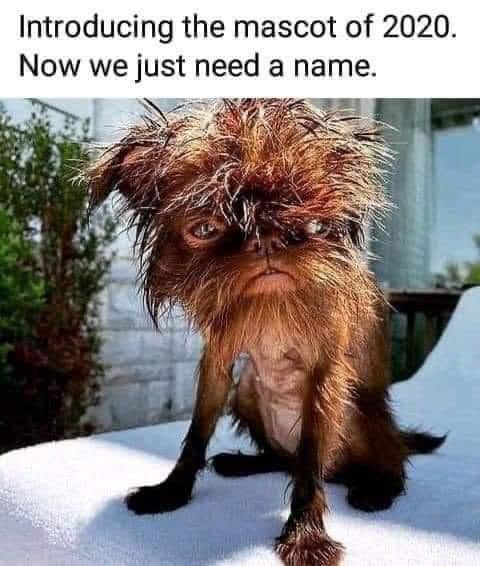 mgtkannan's tweet image. 