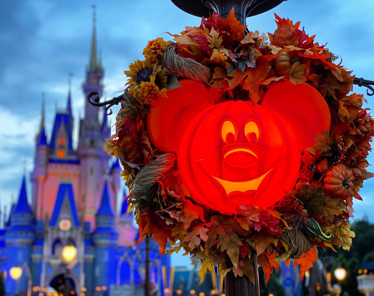tradzak's tweet photo. Some of tonight’s photos! 🎃 #mickeypumpkin #mickeypumpkins #distwitter #notsoscary #cinderellacastle #magickingdom #waltdisney #wdw #waltdisneyworld #disney #disneyboy #disneyparks #disneyworld #passholderlife #nowmorethanever #ilivewhereyouvacation #disneymagicmoments https://t.co/vyw1gCOnaI