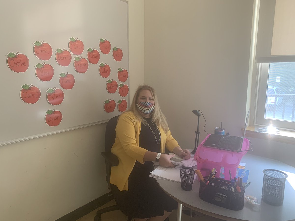 cmkelleyteach's tweet photo. Wondering what remote teaching looks like???? Here is Mrs. McGrath at Barrows showing how it looks from this side #rpspride https://t.co/iH9zYBOqPW