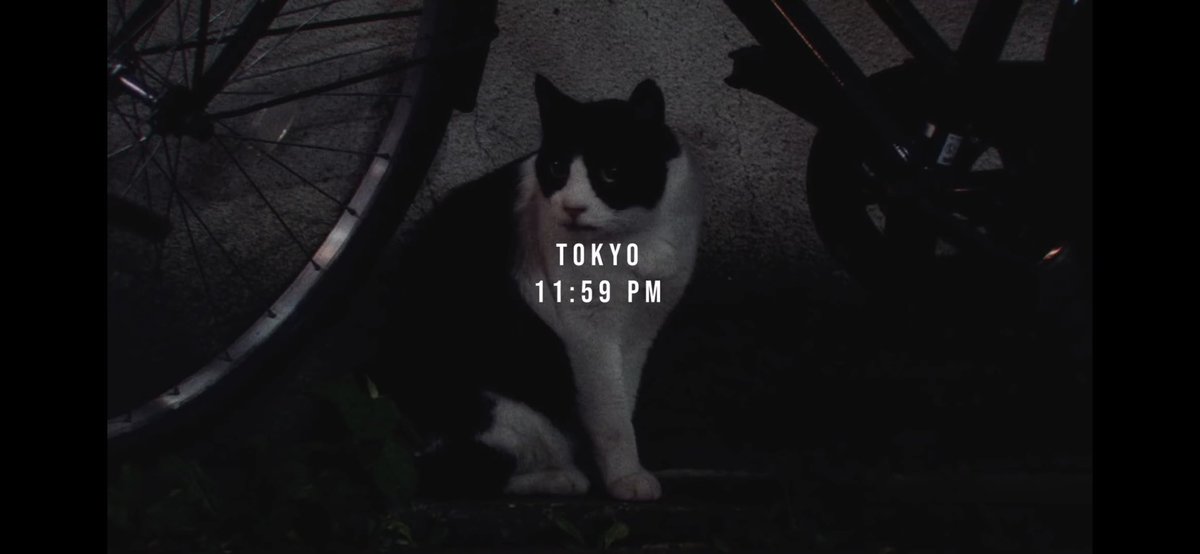 This is followed by Tokyo, Japan, Hyunjin’s location. notice the cat 