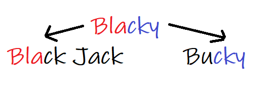 Les noms de Black Jack et Bucky viennent de leur père, le gros Blacky. Un chat noir qui se balade dans le voisinage. J'ai compris que c'était lui le père quand j'ai senti la malformation au bout de la queue de Bucky, Blacky a la même. J'ignore qui est le père de Silver.