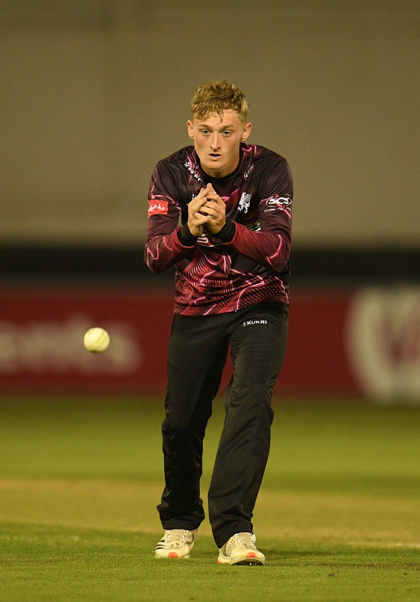 SomersetCCC's tweet photo. π 38* from 29 balls
π΄ 2/24 from 4 overs
Brilliant from @lewigoldsworthy tonight on debut! π€
#WeAreSomerset
#GLAMvSOM
@CornwallCricket https://t.co/LKdwGHaNdS