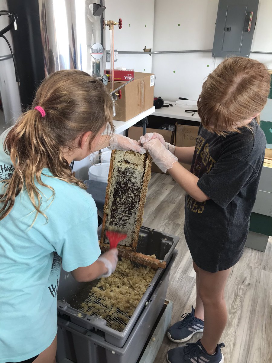 Amanda Schmidt tweet media