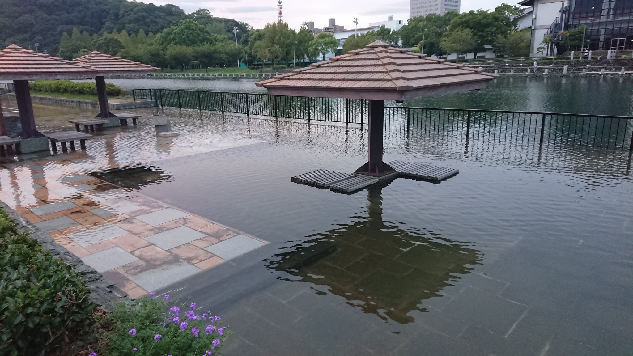 水没しそう 水が溢れそうな徳島中央公園 話題の画像プラス