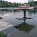 水没しそう!？水が溢れそうな徳島中央公園