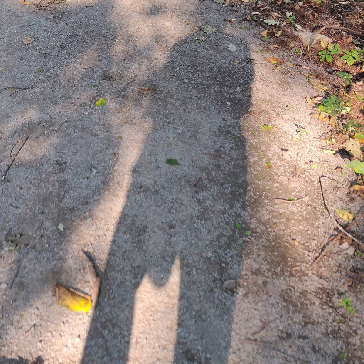 PTinStittsville's tweet image. Running for #jumpin4hearthealth while training for #9runrun in the sun😎