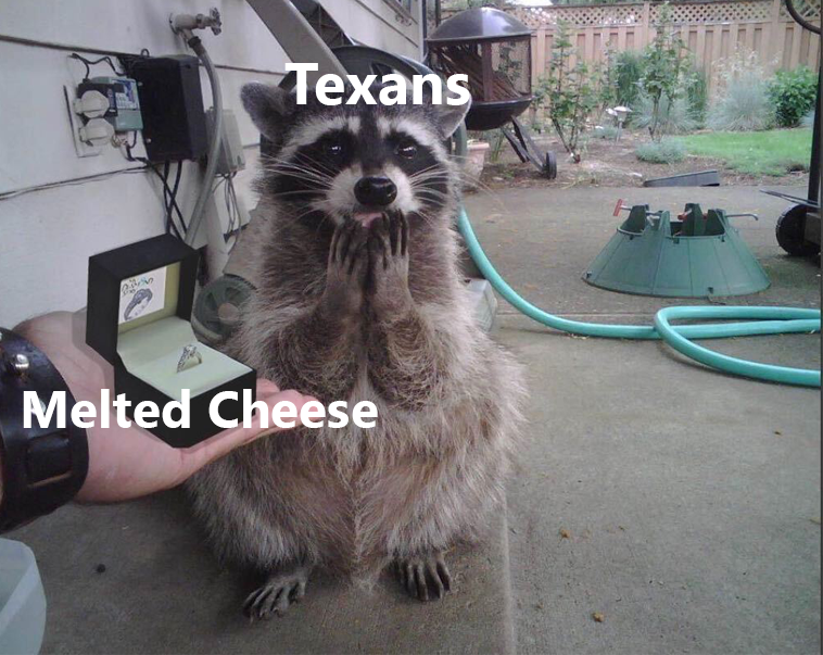 TexasHumor's tweet photo. You know what? I'm offended. Queso is more than just "melted cheese" https://t.co/EgxqqYjZk2