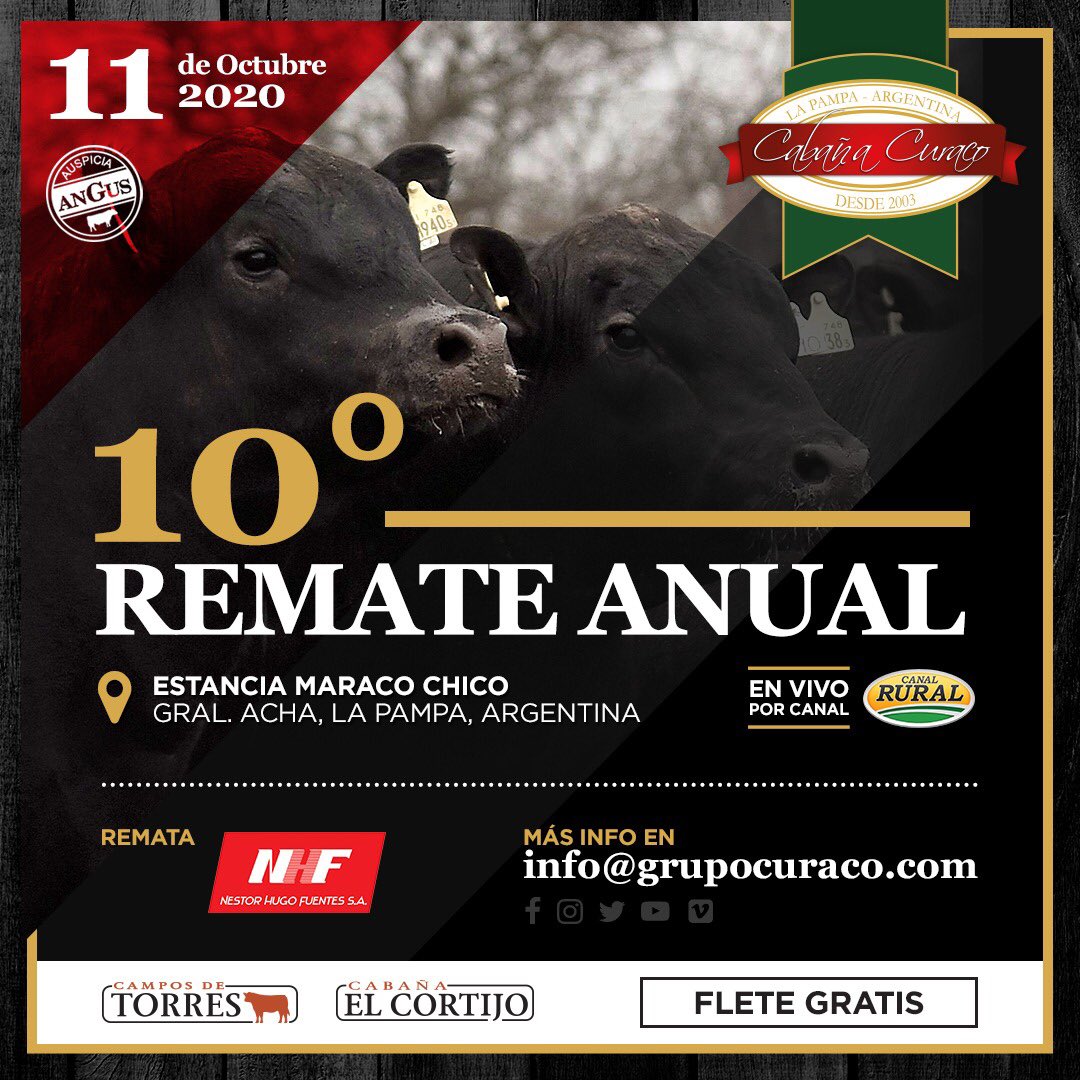 🔔📣Decimo Remate anual        Cabaña Curaco 
Renata <a href="/nestorfuentes/">Nestor Fuentes</a> 
🎥 vivo por <a href="/elrural/">Canal Rural</a>