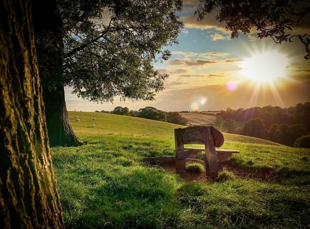 Low sun over the Sublime Sheepwalks , can mean only one thing. Autumn is finally here.  I love this place...

#igbc_explore #love #mood #atmosphere #naturephotography #dusk #yourbritain #sheepwalks #enville #wanderlust #landscape #rural  #walking #countr… instagr.am/p/CFNja-tsuy1/