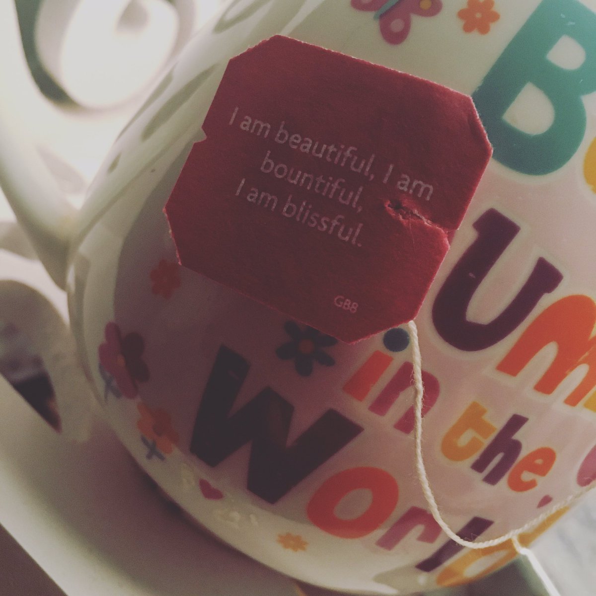 HullMichelle75's tweet photo. Just a little reminder to those that need to hear it 💓 
#huginamug #yogitea #bedtimebrew ☕️ https://t.co/z6VJzEEOq1