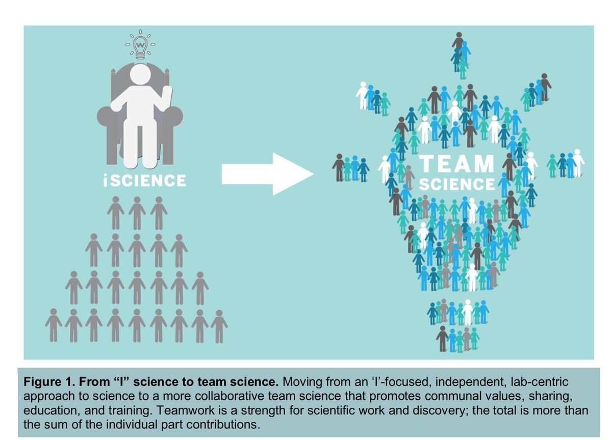 dalka9's tweet image. Gestalt theory applied to the scientific work and discovery: the total is more than the sum of the individual part contributions #Gestalt #teamScience #iScience