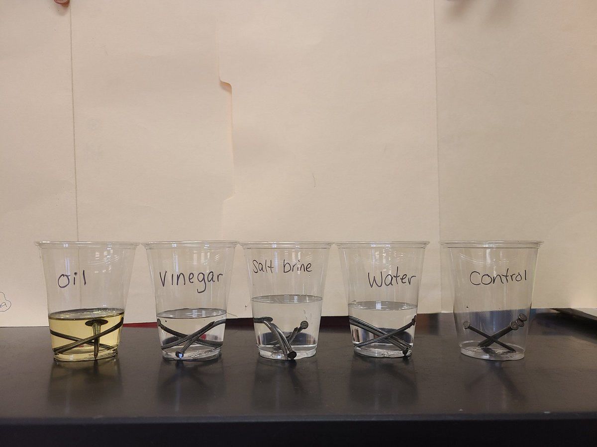 Experiment time! The #GoatTeam is testing out different liquids to see how they react with our steel nails. Each student will be testing 2 different liquids at home and I cannot wait to see their results! #engageD64 #WeAreEmerson
