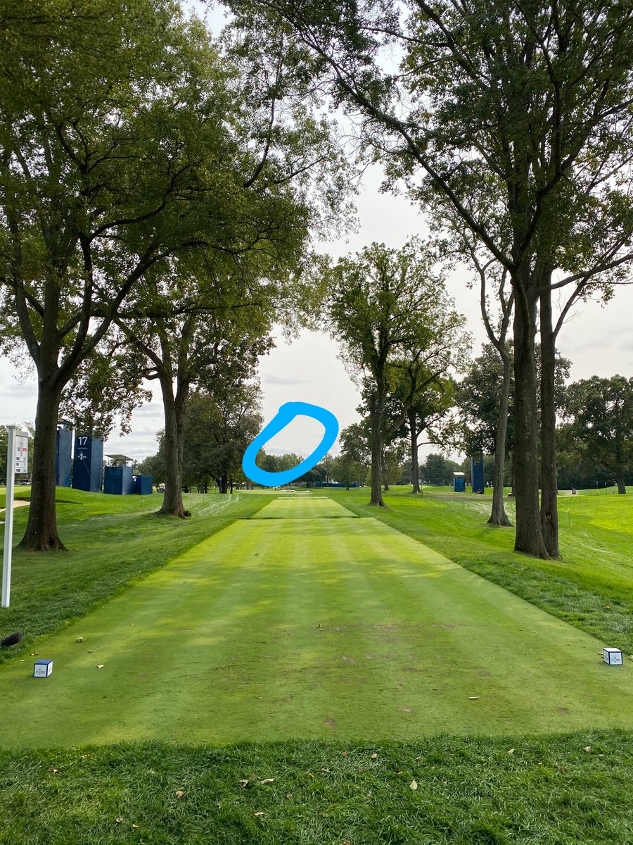 ChrisCapo's tweet photo. @shanebacon 2hy draw almost grazing the tree between the tee boxes and start of the fairway. Probably end up in the left rough blocked out by trees... https://t.co/5PBvfgmjQ7