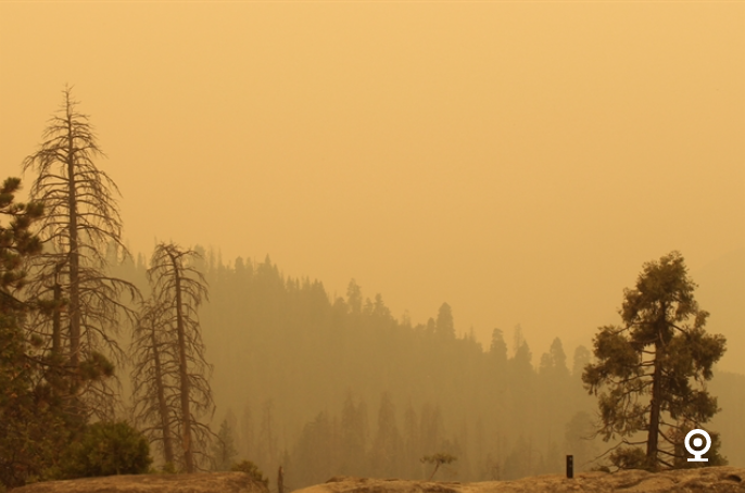 SequoiaKingsNPS's tweet photo. On 9/13/20 Sequoia National Park closed from the entrance station to the Giant Forest Museum, and yesterday, 9/15/20, it closed completely in response to the Castle Fire within the SQF Complex. https://t.co/0ex9fsWNCf