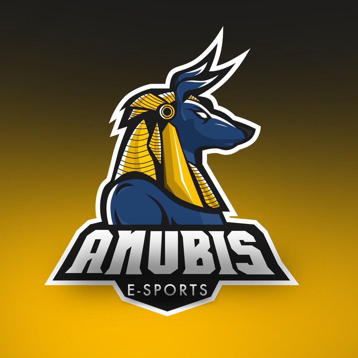 sport_anubis's tweet photo. #FORANUBIS💯🔥
#NuevaFotoDePerfil https://t.co/dXfUzF12LW