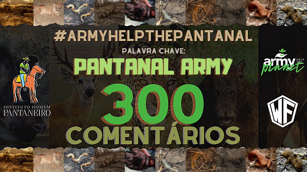 ARMY_HTP's tweet photo. A meta da campannha é 30 mil reais. Será que conseguimos 3 mil armys para doar R$ 10,00? 

Use: #ARMYHELPTHEPANTANAL + PANTANAL ARMY + @BTS_twt 

DOE:
https://t.co/tgbMQGOBMi https://t.co/PD59EIegri