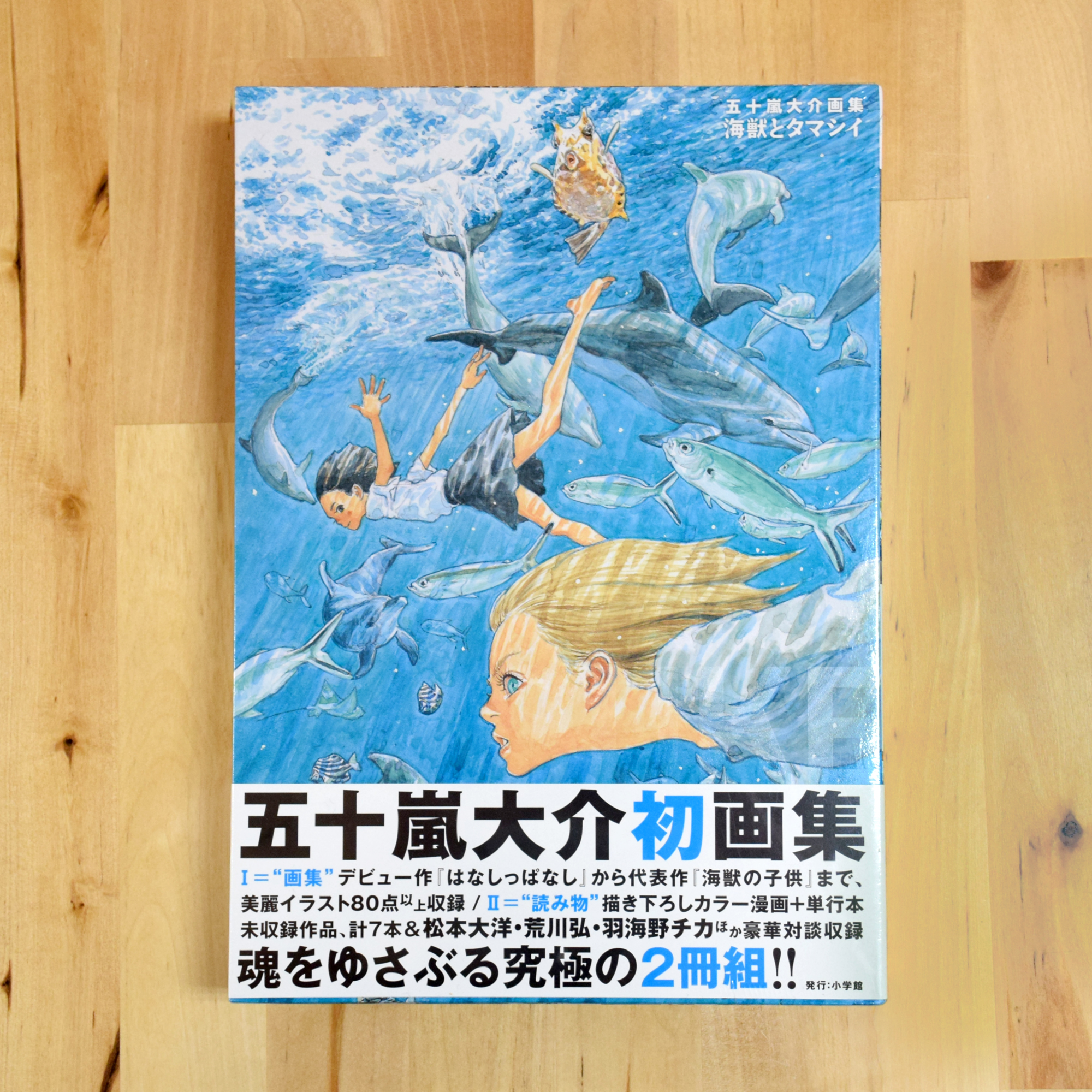 五十嵐大介 画集 海獣とタマシイ 初版帯付 海獣の子供 イラスト集