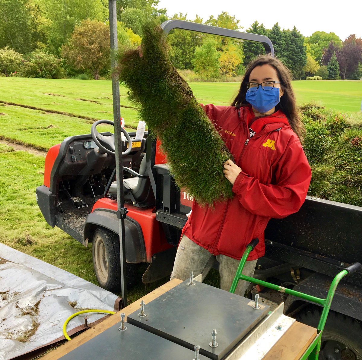 MihelichNicole's tweet image. Last day of our experiment on the effect of fertility and seeding rate on low-input sod strength. This piece of strong creeping red fescue lived up to its name, and was too strong to be torn by the sod puller! #LowInputTurf #SCRI @UMNTurf @USDA_AMS