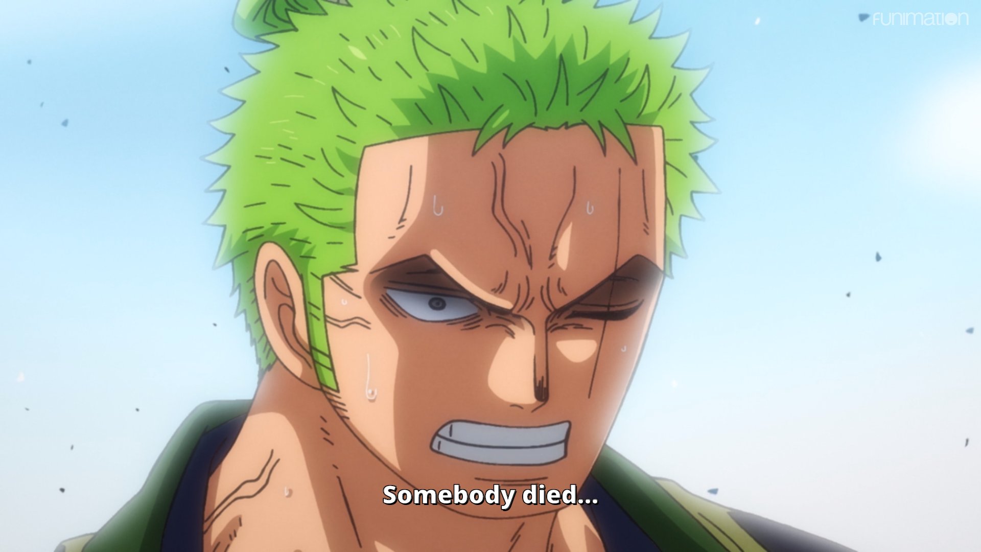 One Piece Zoro S Fury Via Episode 940 T Co 0is0p8fi3r Twitter