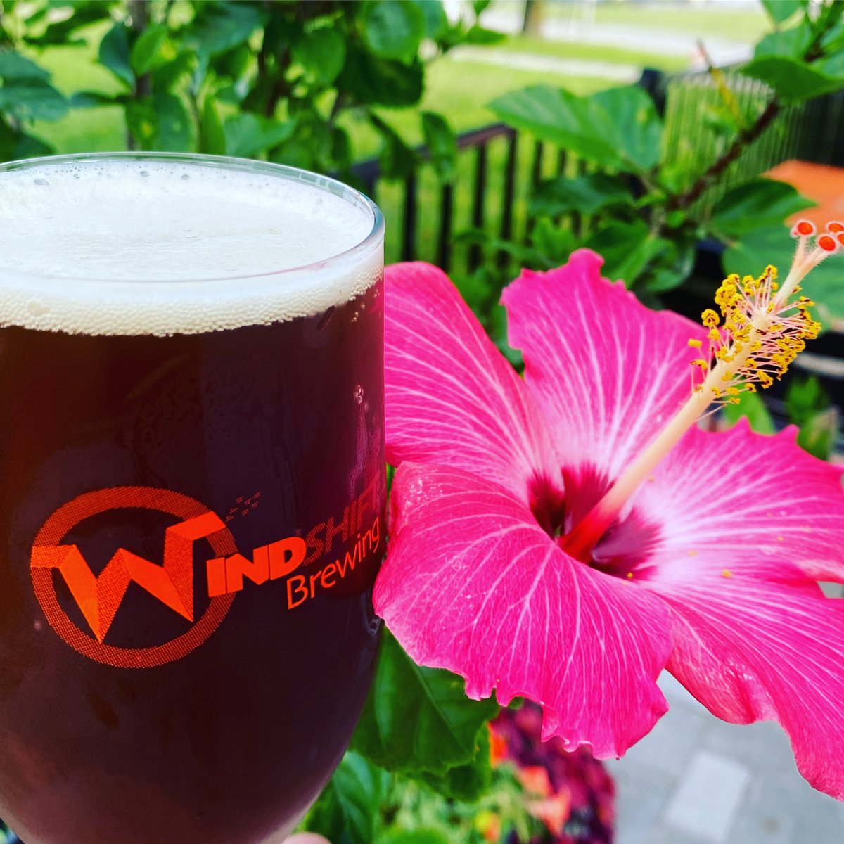 windshiftbrew's tweet photo. No better time of the year to enjoy a #DarkMild on the patio. #seeyousoon #drinkloKCal #wednesdaybeer https://t.co/lkFvXxWquk