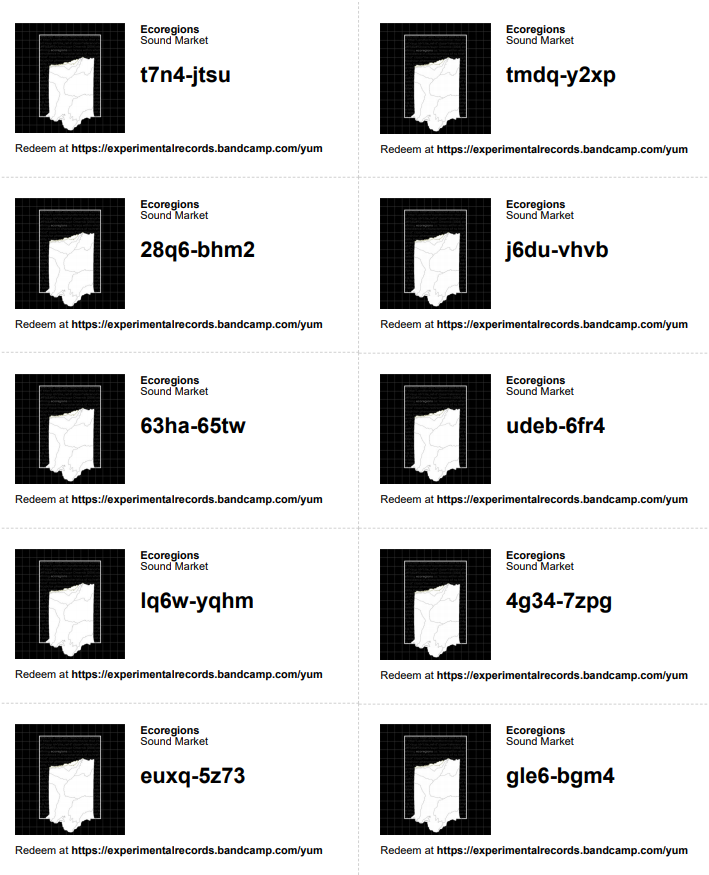 ExRecOfficial's tweet photo. Here are some codes for @_Sound_Market_ latest album "Ecoregions"! You can redeem them at https://t.co/rlpmA8jLOG Also cassettes are still available but in limited supply - grab one now and have it shipped by tomorrow! #vaporwave #vaportrap  #trap #codes #electronic #experimental https://t.co/ZtoyPiXe6q