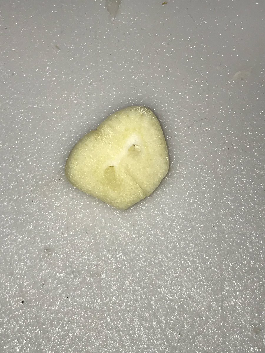 My garlic has prefrontal cortex