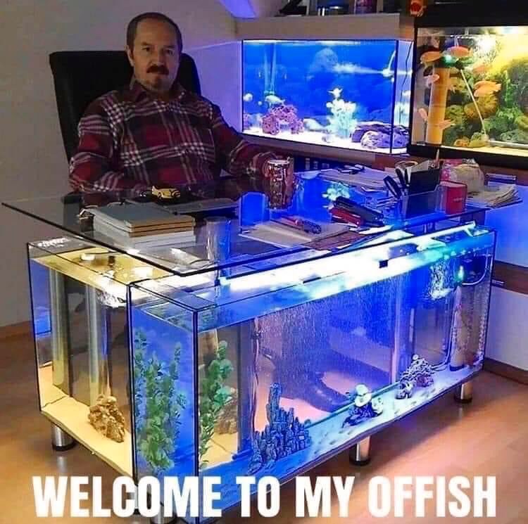 compdadjokes's tweet photo. https://t.co/S8AwUJlNGF