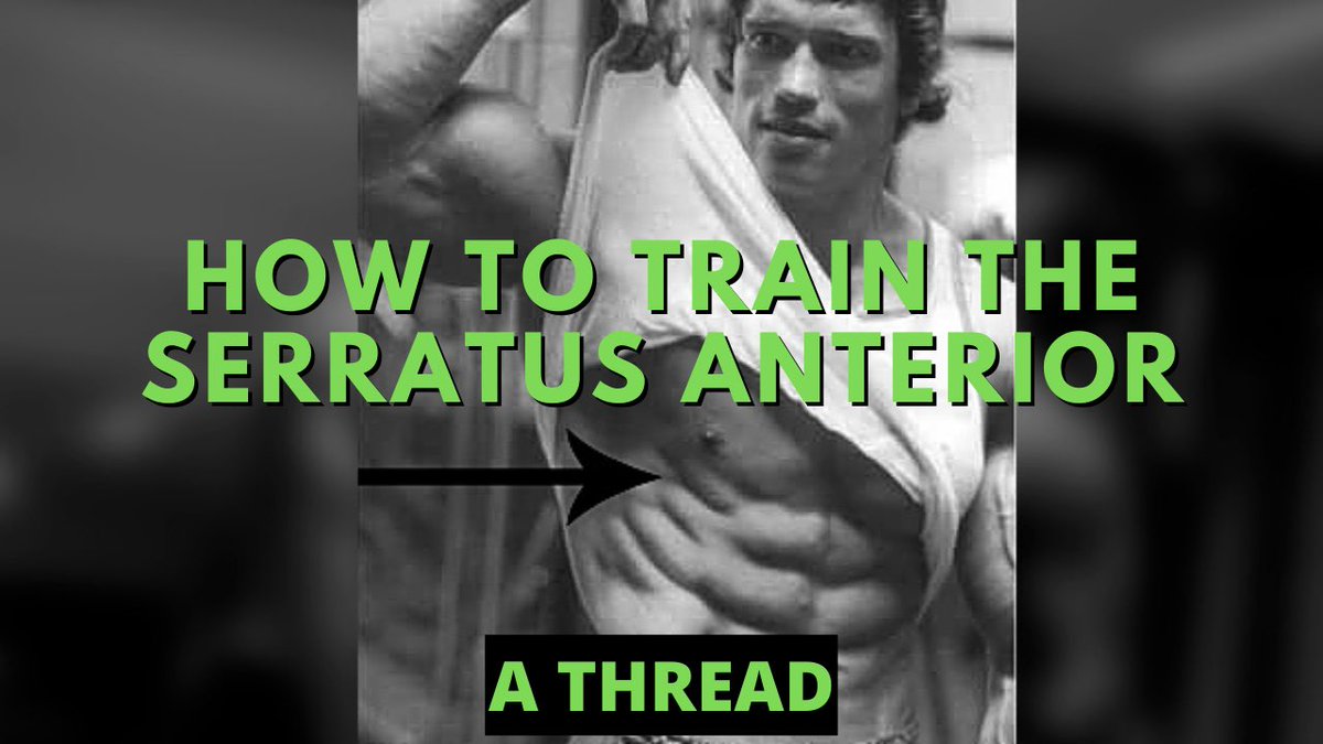 A thread on how to train the Serratus AnteriorMany people are generally aware that the Serratus Anterior (SA) is an important player in shoulder health, but are unsure how to train it.It has two main functions: Shoulder protraction & assisting in elevation of the arm...