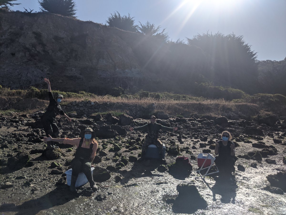 Thanks to the phenomenal training by @citizen_gis and <a href="/BoYangGeo/">SOPHIE RAIN</a> we were able to map our seagrass beds this summer as part of multi-year <a href="/NSF/">U.S. National Science Foundation</a> project. And, with a fantastic team <a href="/ucd_cmsi/">UC Davis Coastal and Marine Sciences Institute</a> <a href="/bodegamarinelab/">UC Davis Bodega Marine Laboratory</a> in the Stachowicz lab, we successfully completed eelgrass disease surveys!